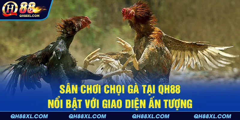 Sân chơi tại QH88 nổi bật với giao diện ấn tượng Sân chơi tại QH88 nổi bật với giao diện ấn tượng